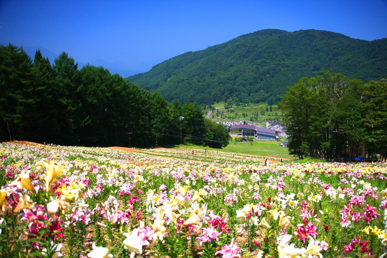 Hotel Harvest Madarao Shinano  Εξωτερικό φωτογραφία